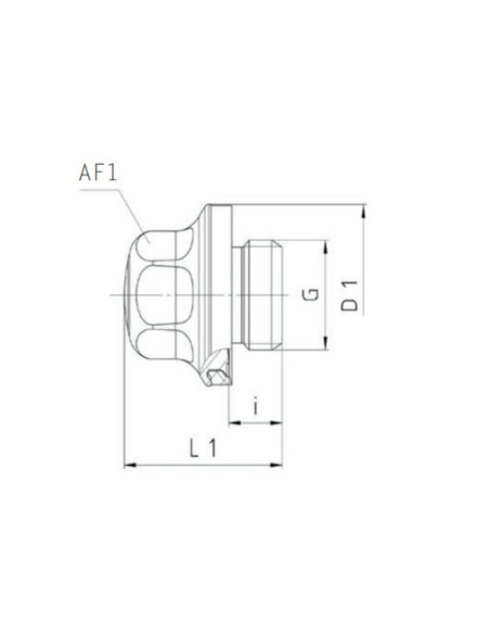 Korek, wykonanie higieniczne, G 1/4 GZ , AISI 304, EPDM, Eisele EPP3023-04
