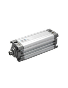Siłownik kompaktowy Strong D80x50, Univer RS2000800050