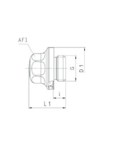 Korek, wykonanie higieniczne, G 1/8 GZ , AISI 304, FKM, Eisele VTF3023-02 2