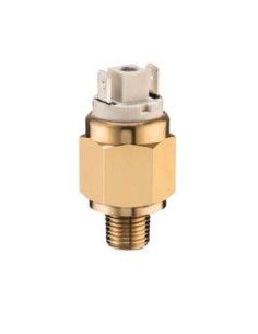 Czujnik podciśnienia G1/8 NO -200/-900 mbar, max. 48V, 0,5A | Automatyka | Eshop Dopak | Wszystko dla Przemysłu