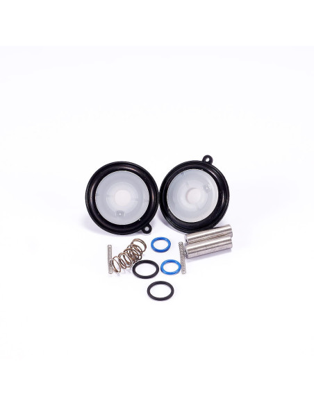 Zestaw naprawczy zaworu wodnego, 1266227.0000.00000, BUSCH | Hydraulika | Eshop Dopak | Wszystko dla Przemysłu