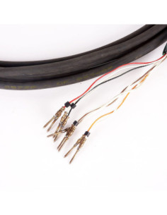 Kabel 5,0 M, F2 REF 25726, MULLER ROBOCABLE | Przewody i Złącza | Eshop Dopak | Wszystko dla Przemysłu 2