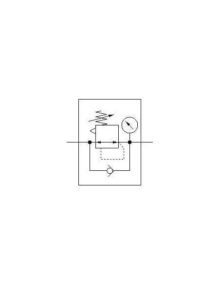 MS9-LR-G-D5-AG-BAR-AS Regulator ciśnienia | Pneumatyka | Eshop Dopak | Wszystko dla Przemysłu