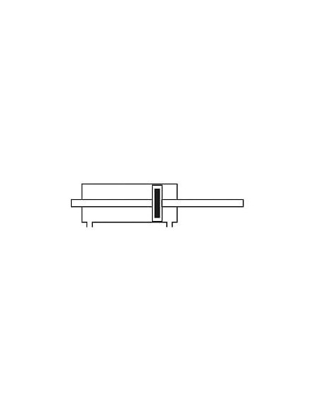 Siłownik pneumatyczny ISO15552/6431 D80x350  dwustronne tłoczysko, amortyzacja pneumatyczna | Pneumatyka | Eshop Dopak | Wszystk