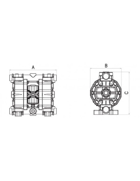 Pompa membranowa SS170 FDA 170 l/min SS EP/NBR PTFE/PTFE | Hydraulika | Eshop Dopak | Wszystko dla Przemysłu